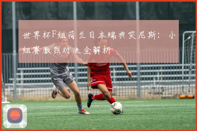 世界杯F组荷兰日本瑞典突尼斯:小组赛激烈对决全解析