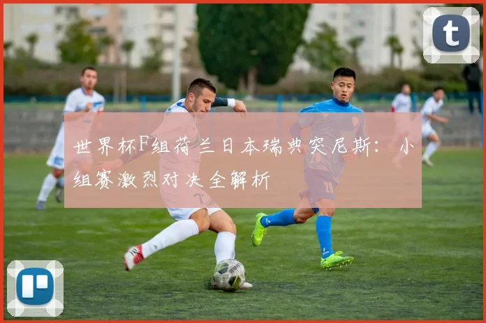 世界杯F组荷兰日本瑞典突尼斯：小组赛激烈对决全解析
